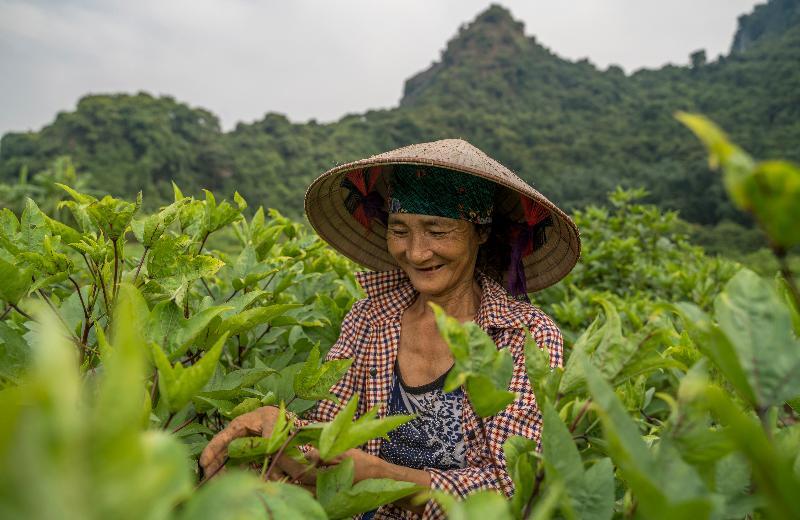 Du thuyền Heritage Line Ylang – Vịnh Hạ Long và Lan Hạ Ngoại thất bức ảnh